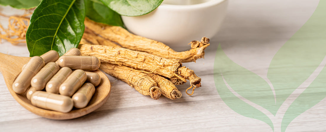 Real Benefits of Ginseng Supplements Revealed | Miracle Plant