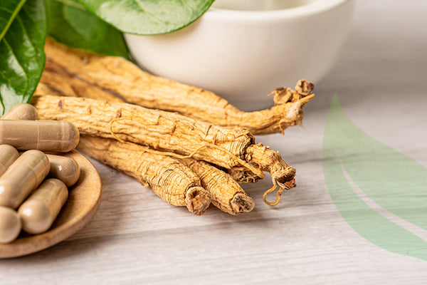 Real Benefits of Ginseng Supplements Revealed | Miracle Plant
