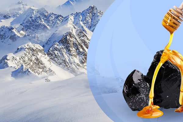 8 Health Benefits of Shilajit You Need to Know