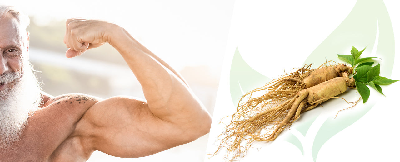 6 Miraculous Ginseng Benefits for Me