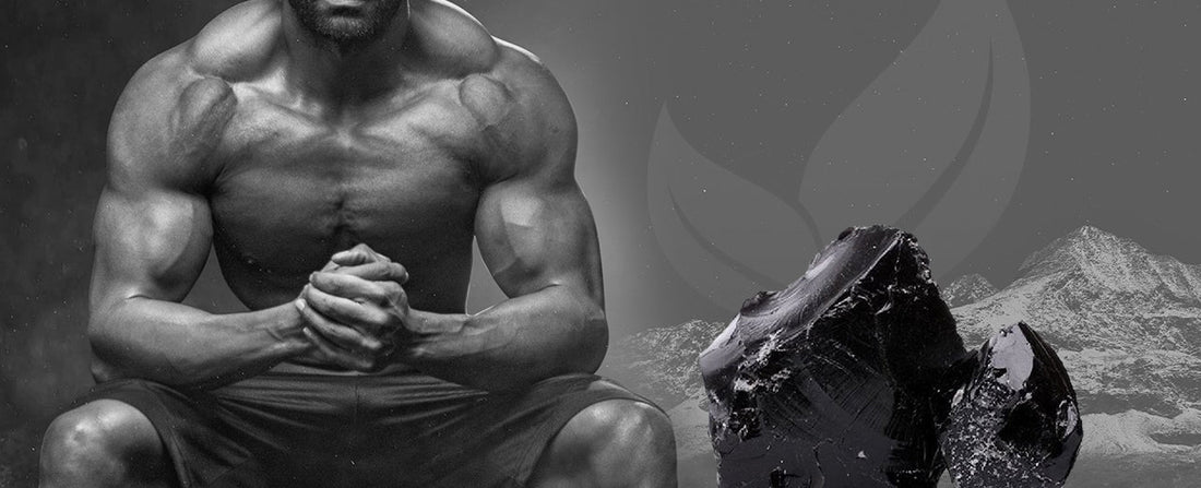 5 Shilajit Benefits for Male to Enhance Physical and Mental Wellbeing