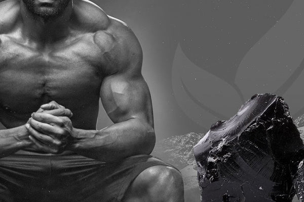 5 Shilajit Benefits for Male to Enhance Physical and Mental Wellbeing