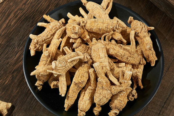 Himalayan Ginseng: Ancient Herb with Modern Benefits