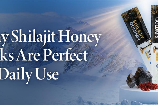 Why Shilajit Honey Sticks Are Perfect for Daily Use