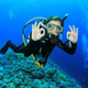 Diving Gear & Accessories